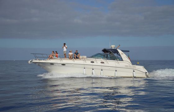 Sea Ray 400 Sundancer