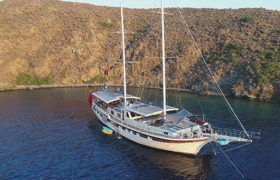 M/S Economic Gulet