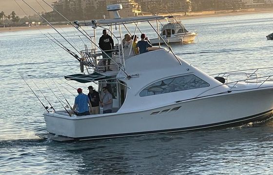 Luhrs 36