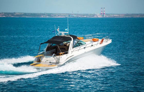 Sea Ray 455