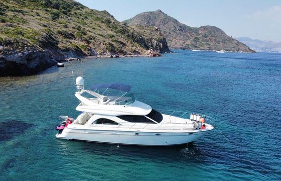 Maxum 52
