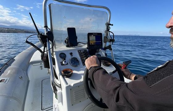 Dolphin 510