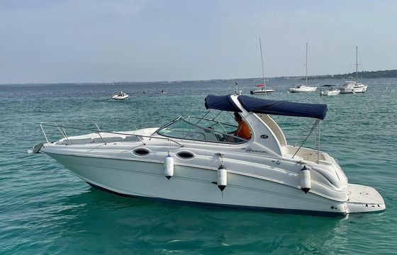 Sea Ray 315 Sundancer