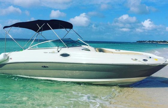 Sea Ray Sundeck