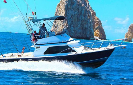 Blackfin 34