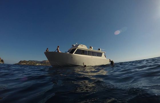 Navaltecnica Oceanic 33