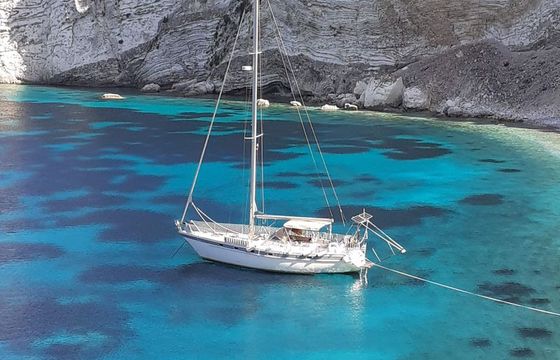 S/B Cruiser