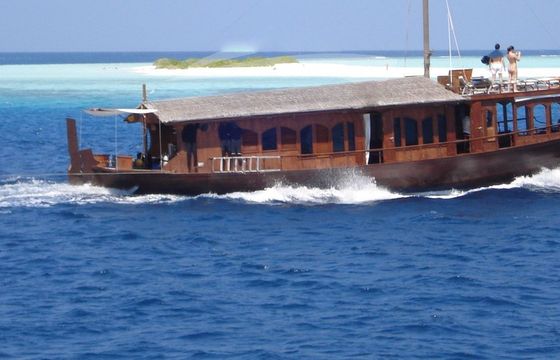 Traditional 71