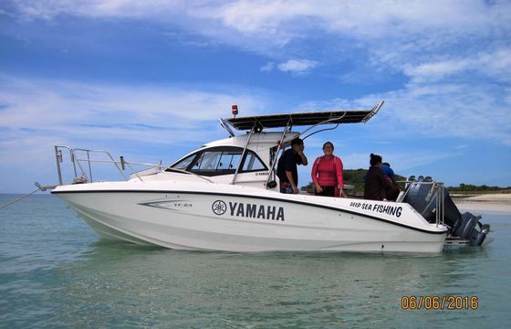 Yamaha Waverunners YF-25