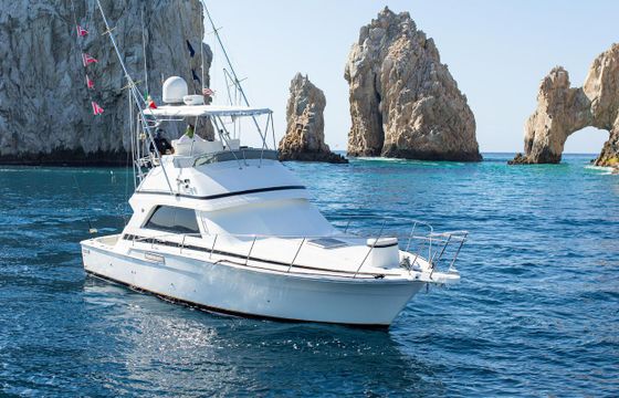 Bertram Convertible
