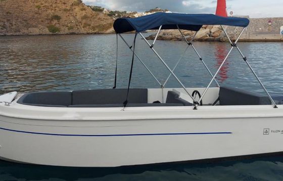Falon Falcon 14