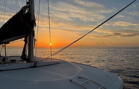 Lagoon 40
