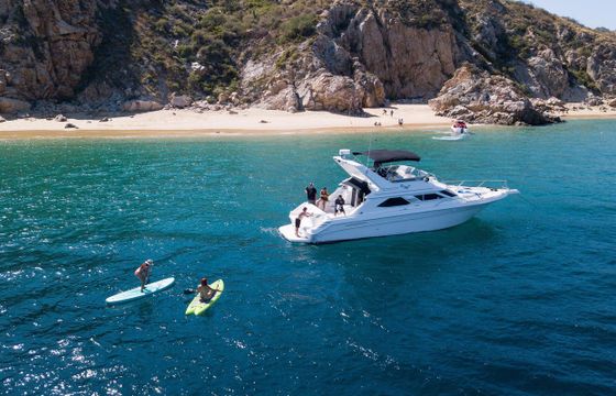 Sea Ray 44 Express Bridge