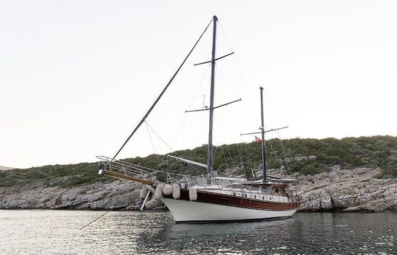 Gulet 62