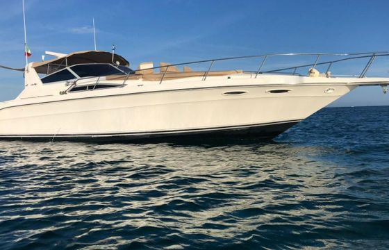 Sea Ray 42