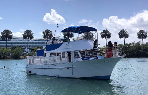 Albin 40 Sundeck