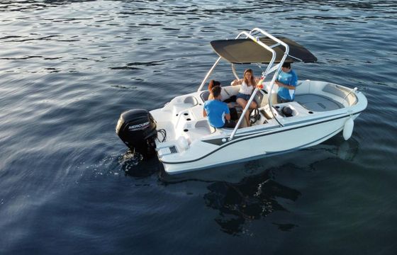 Bayliner M17