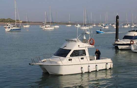 Catamaran 28