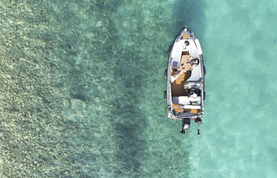 Glam-Sea Cobra 495