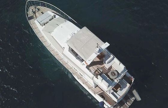 Maiora Renaissance 66
