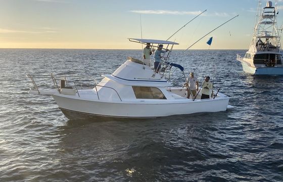 Bertram 31ft
