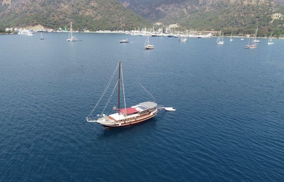 Gulet 55
