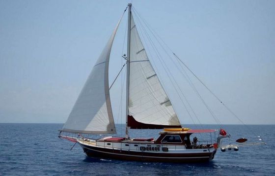 Custom 49 ft