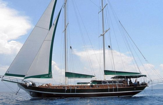 Custom Motorsailer 79