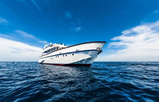 M/Y 65