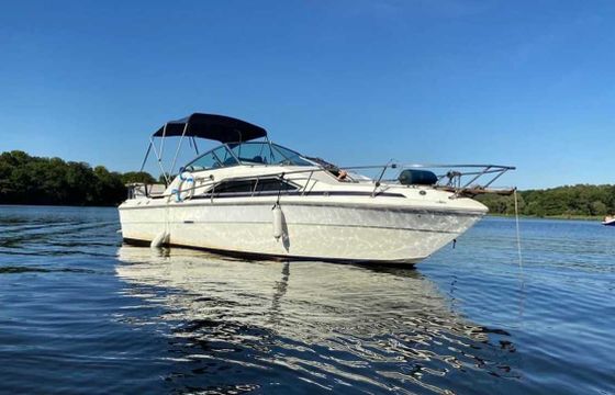 Sea Ray 245 sundancer