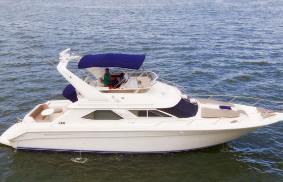 Sea Ray Flybridge