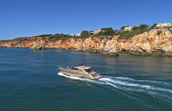 Princess V65