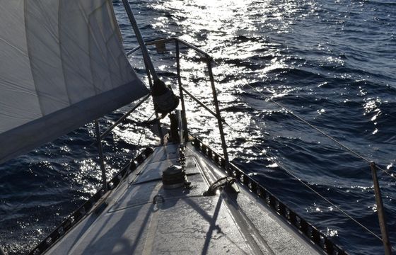 S/Y Cruiser / Racer 37