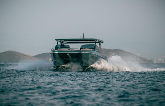 Tesoro T41 Power Cat