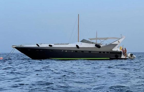 Mangusta 65