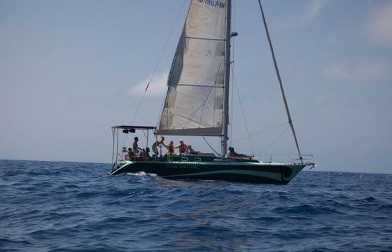 S/Y 42