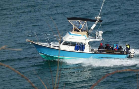 M/B 33 Flybridge