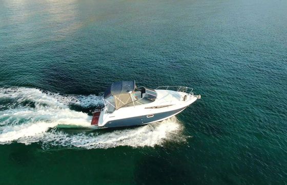 Bayliner Bayliner