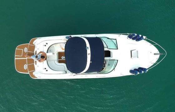 Sea Ray sunsport 295