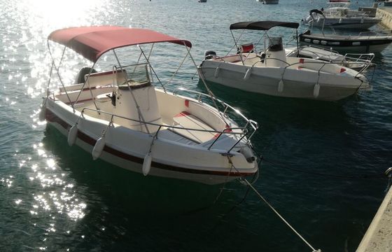 Blumax 550 Open