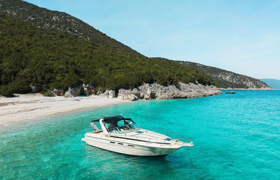 Sea Ray 310 express vanguard