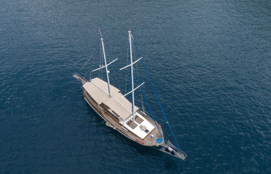 Custom Gulet 66