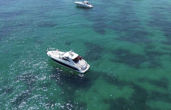 Sunseeker Portofino 53