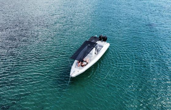 Oceanic Soda 30