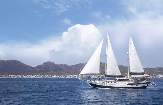 Gulet 79' (2020)