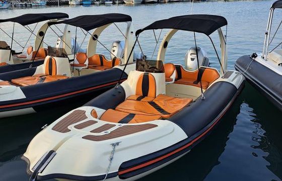 Mostro Family 550