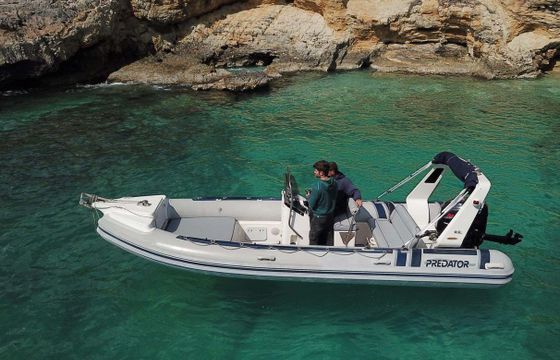 Predator 650