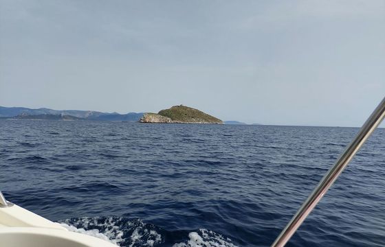 Karnic 2265