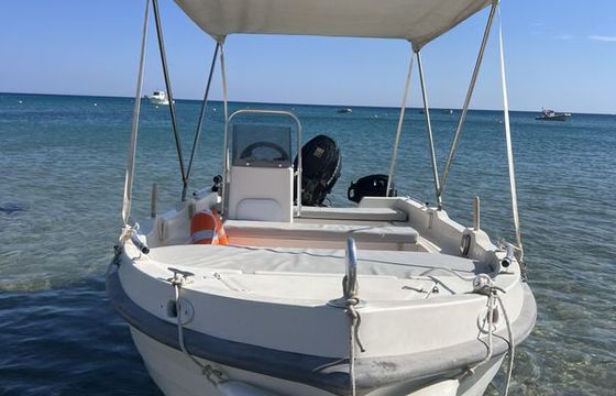 Assos FunBoat 455N