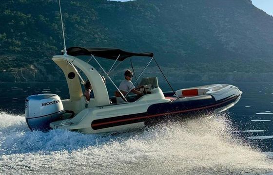 Mostro Family 550